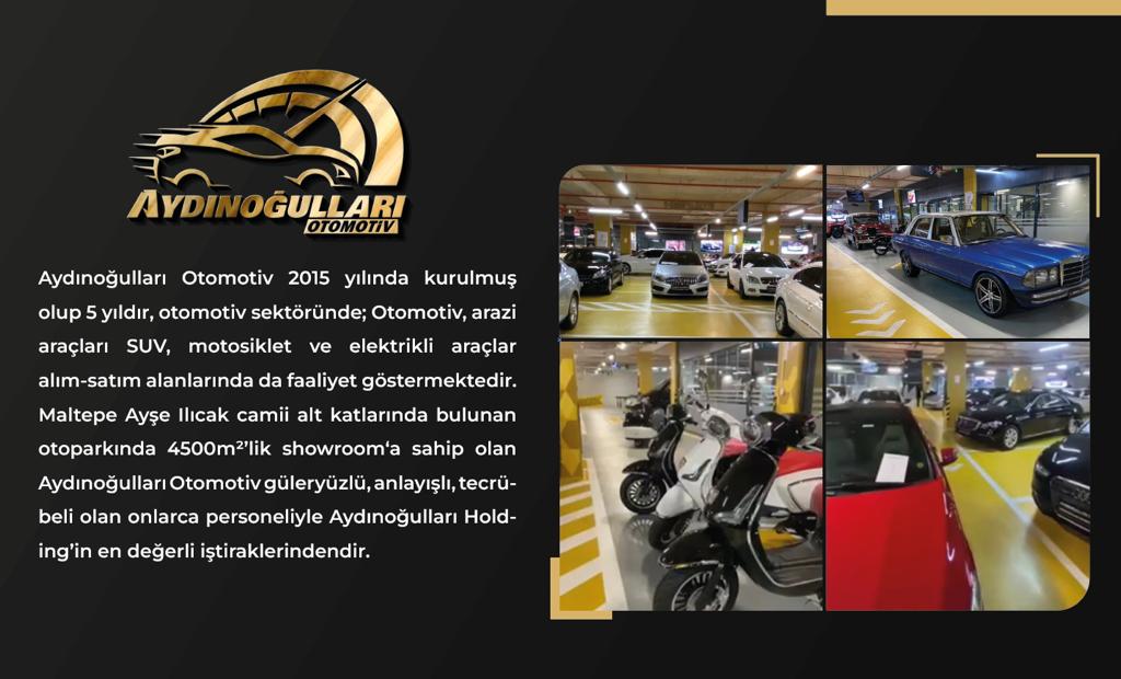 AYDINOĞULLARI OTOMOTİV YAPI İNŞAAT GIDA LTD Aydınoğulları Holding